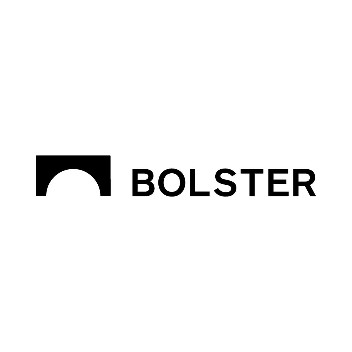 Bolster.ai