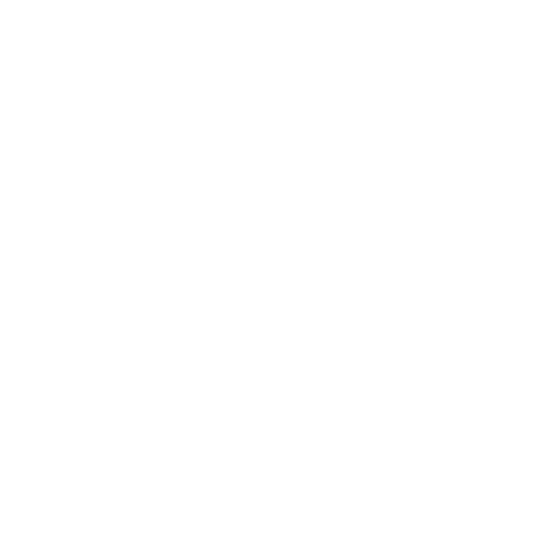 Radiant Security