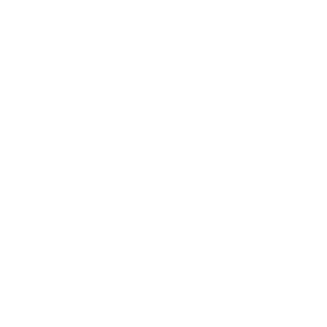 Radiant Security