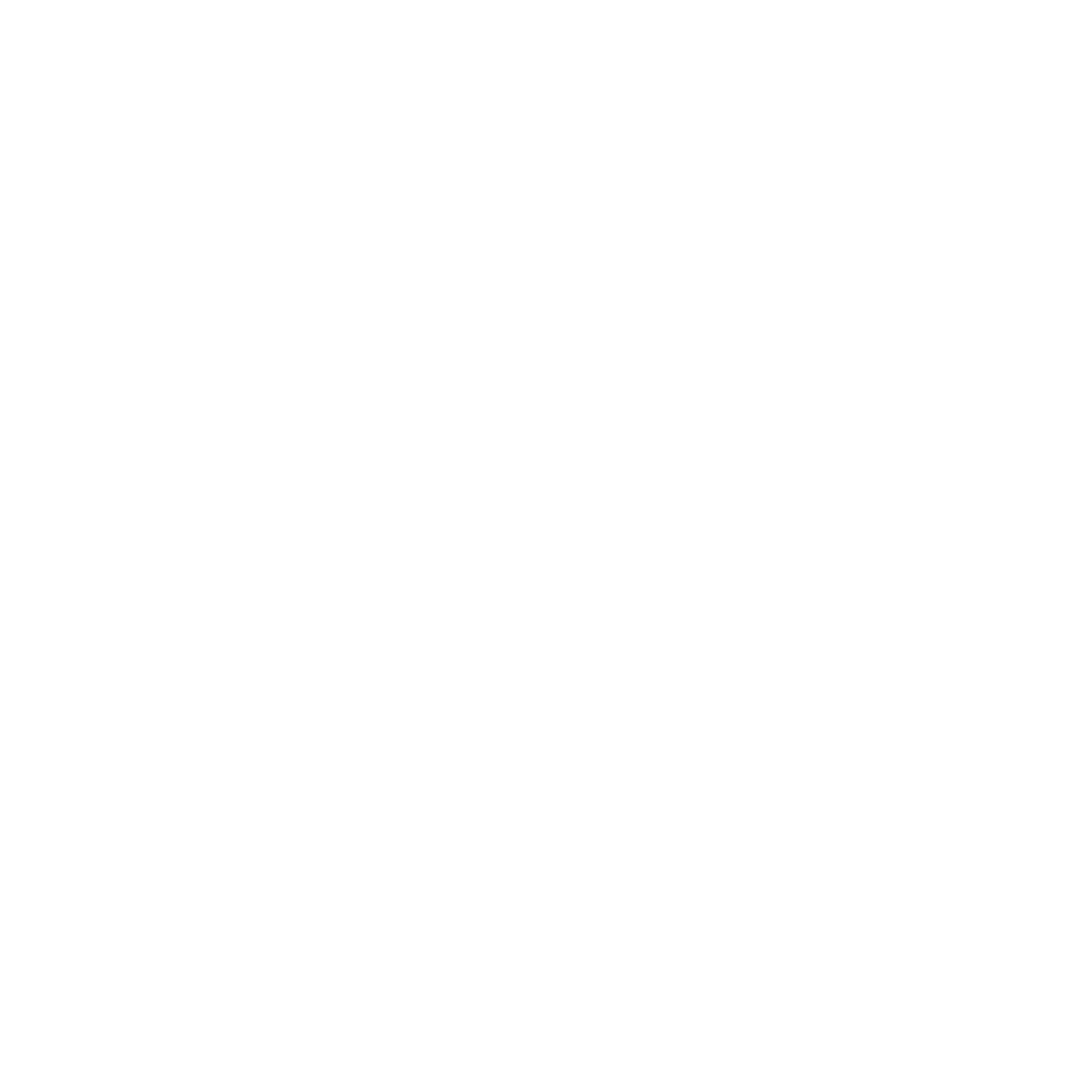 Radiant Security